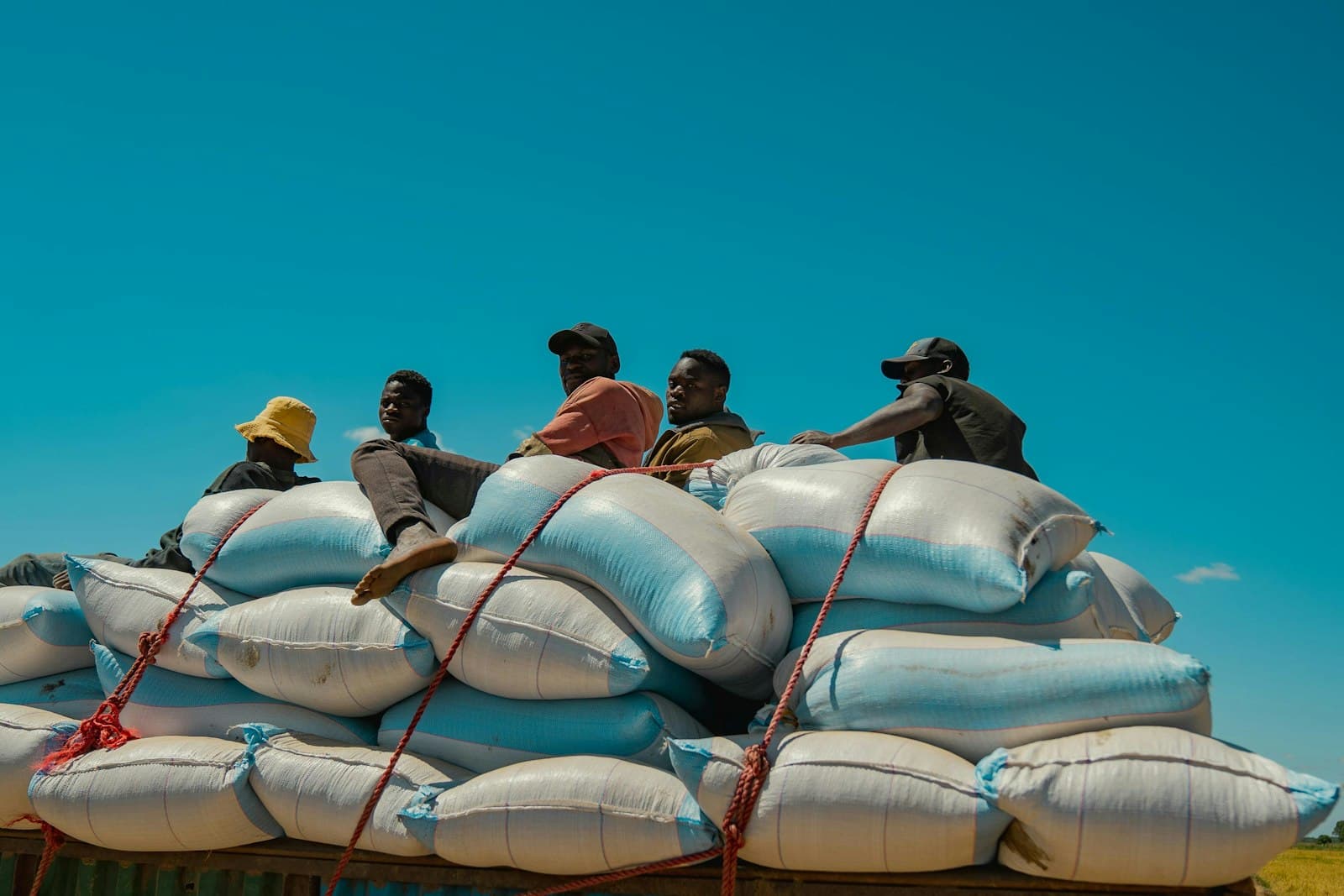 Workers riding on a truck loaded high with sacks of goods for delivery